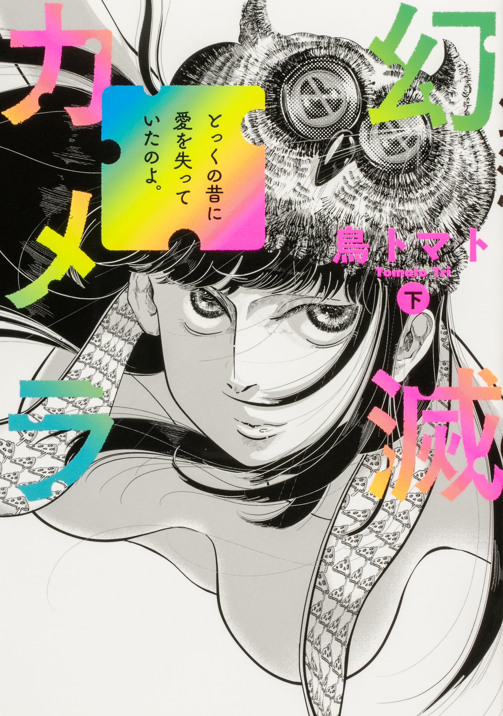 Amazon.co.jp: 幻滅カメラ 下 (ビームコミックス) : 鳥 トマト: 本